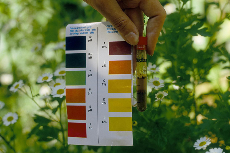 Điều chỉnh biện pháp tác động phù hợp cho đất trồng từ kết quả đo độ pH