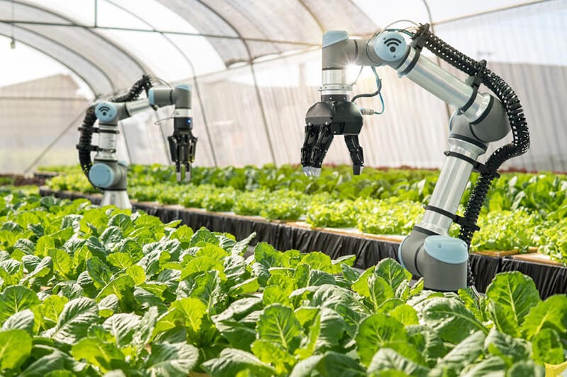 Nông nghiệp ứng dụng công nghệ cao 